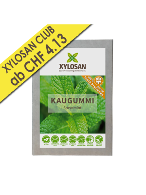 Xylit Kaugummi Spearmint 30 Stück (100g = Fr. 13.11)